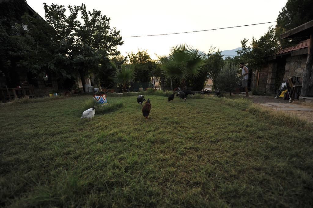 Olympos Koyevi Countryhouse Exteriör bild