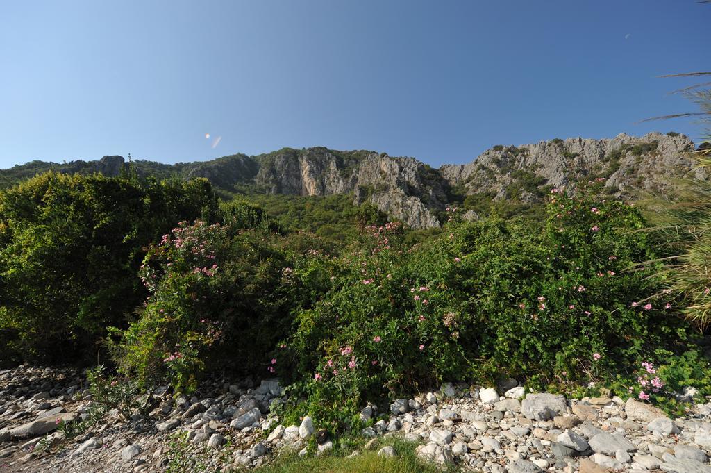 Olympos Koyevi Countryhouse Exteriör bild