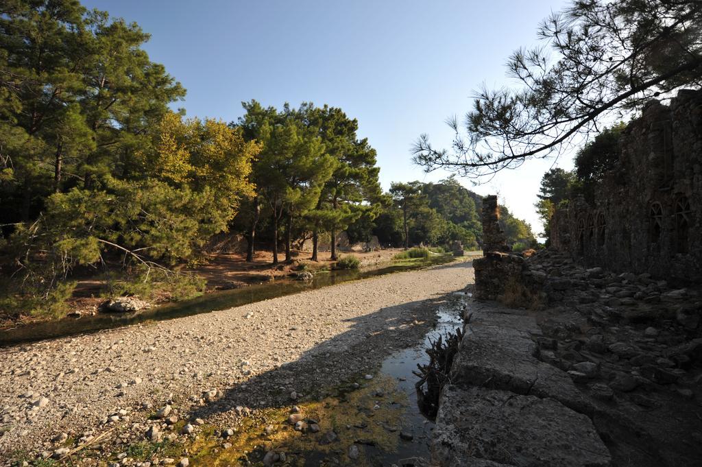 Olympos Koyevi Countryhouse Exteriör bild