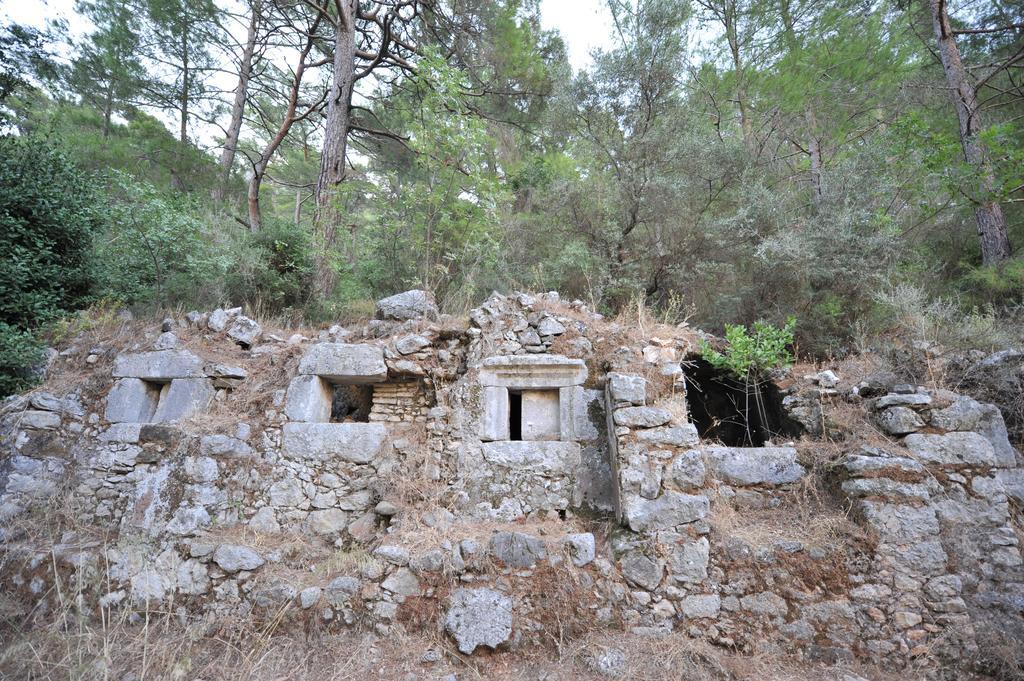 Olympos Koyevi Countryhouse Exteriör bild